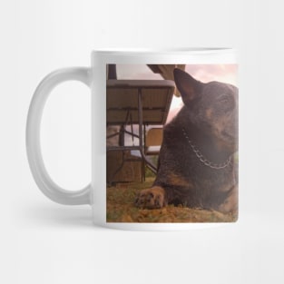 All Acd Mug